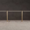 Juniper THIN Shared Task 3 Brass.jpg 